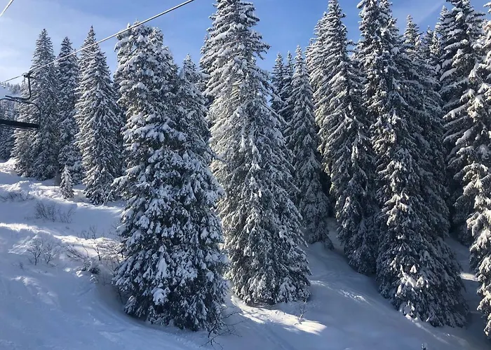 公寓 La Providence *