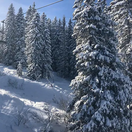 La Providence Apartment Morgins