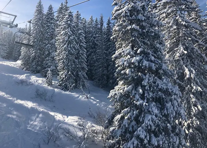 La Providence Apartment Morgins